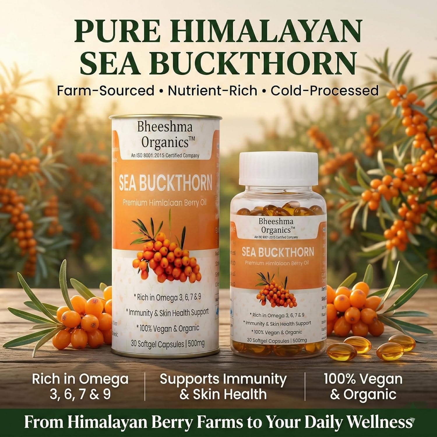Sea Buckthorn Oil Capsules 500mg (30 Softgels) | Himalayan Berry Omega 3 6 7 9 & Omega-7 Supplement | Skin Glow Hair Growth Immunity Support | Antioxidant Herbal Softgel Capsules for Heart Health & Wellness