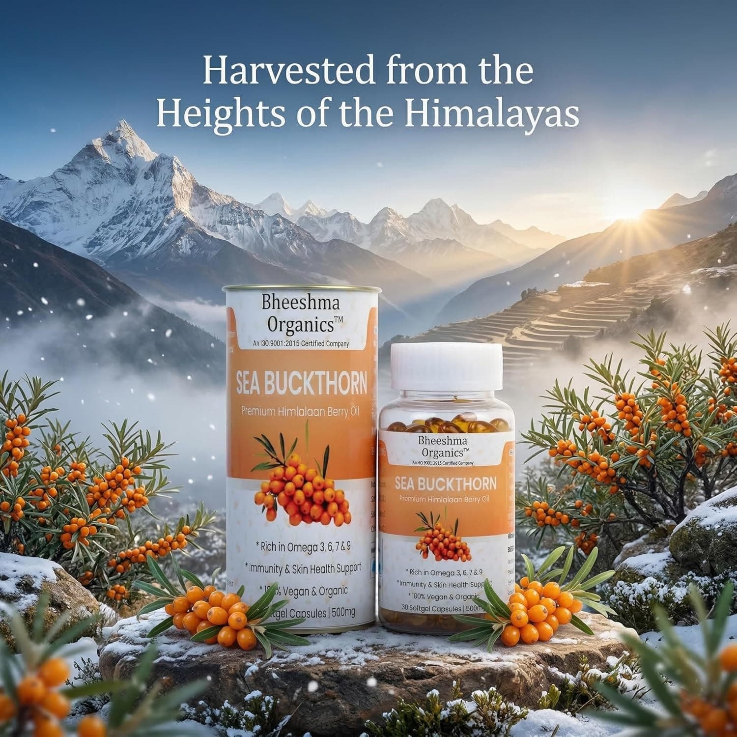 Sea Buckthorn Oil Capsules 500mg (30 Softgels) | Himalayan Berry Omega 3 6 7 9 & Omega-7 Supplement | Skin Glow Hair Growth Immunity Support | Antioxidant Herbal Softgel Capsules for Heart Health & Wellness